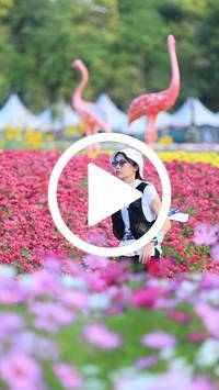 BIB:  <button type="button" onclick="openModal(27583183)" class="btn btn-primary btn-sm float-right" data-toggle="modal" data-target=".modal-high-quality">
                <i class="fa fa-download"></i> Download
                </button>